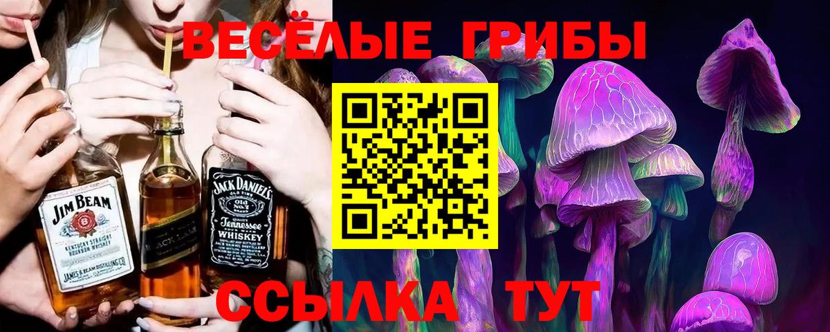 Галлюциногенные грибы мицелий Тамбов