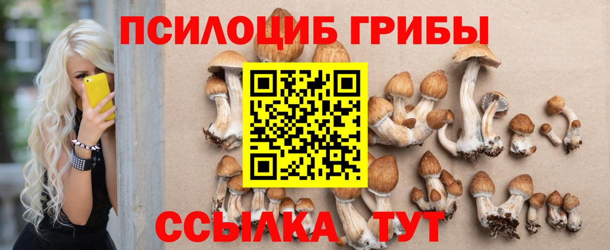 Псилоцибиновые грибы Psilocybine cubensis  Псилоцибиновые грибы мицелий  где продают   Тамбов  Вход с VPN 